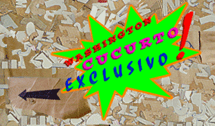 :: WASHINGTON CUCURTO : EXCLUSIVO! ::