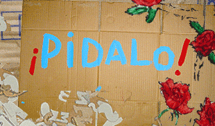 :: &iexcl;PIDALO! ::
